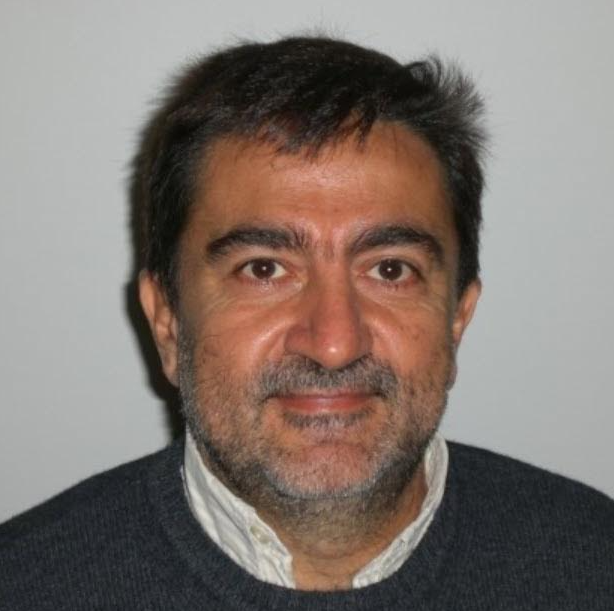 SEMINAR: 1/19 4PM, E4 47-124 featuring Prof. Antonio DeSimone "Morphing and shape control, with applications to biological and bio-inspired motility"