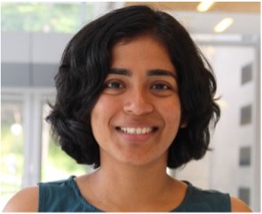 DEPARTMENT SEMINAR: 11/15, 10am, 47-124 featuring Prof Bala Chandra " Flowing, and Reacting Particles, Oh My!