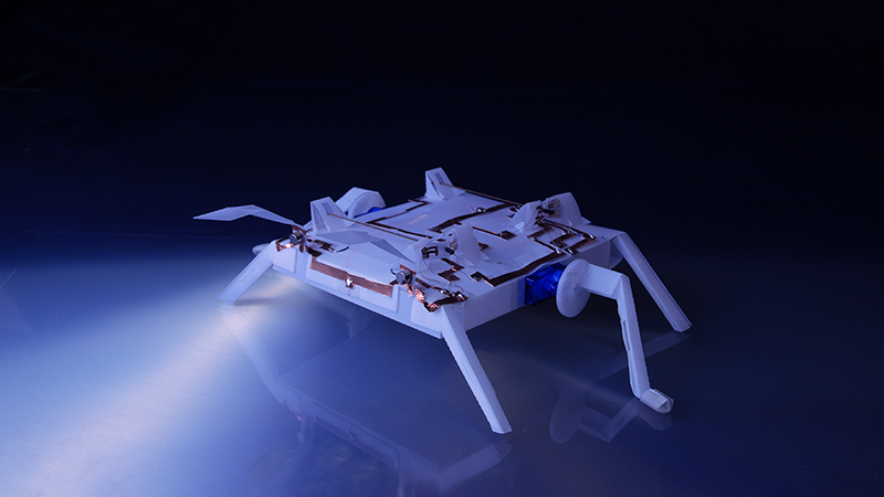 An origami-inspired robot designed by a UCLA-led team that can reverse direction when either of its antennae senses an obstacle. (Wenzhong Yan/UCLA.)