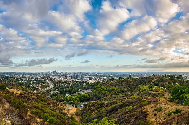 View of downtown Los Angeles from the hillside overlooking the Hollywood Bowl.