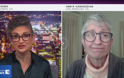 Ann Karagozian interviewed on Spectrum News 1